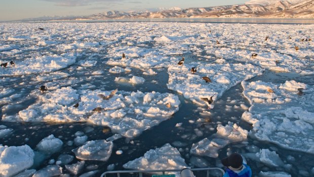 The sound of ice floes rubbing together in Hokkaido's Sea of Okhotsk is one of 100 official Soundscapes of Japan.