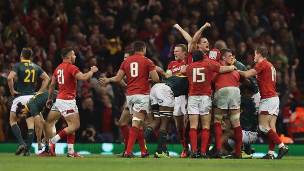 Final fling: The Wales players celebrate victory over South Africa on the final whistle.