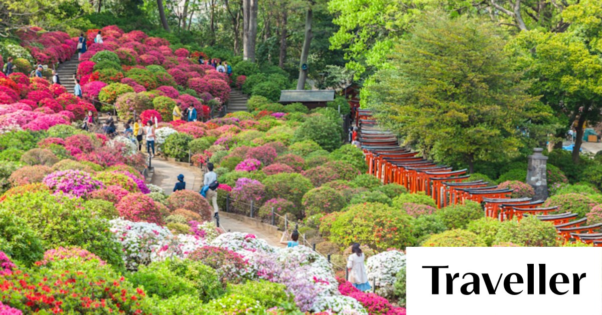 What to see and do in Tokyo - Vimarsana News