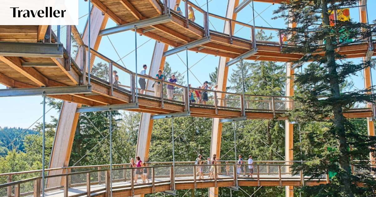 World's 10 best treetop walks with unbeatable views