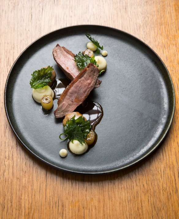 Duck with nettles, grapes and parsnip.