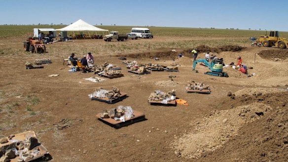 The central-western Queensland site in 2005, when the fossils were found.