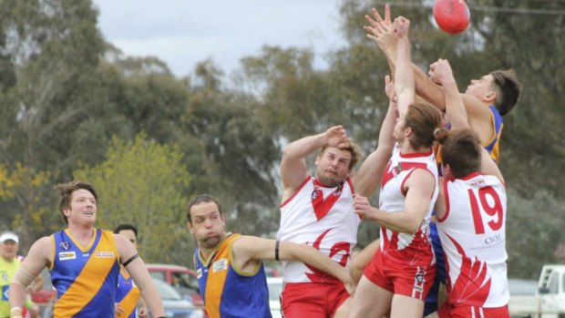 Six points in it: The Avenel Swans score a narrow victory over the Lancaster Wombats.