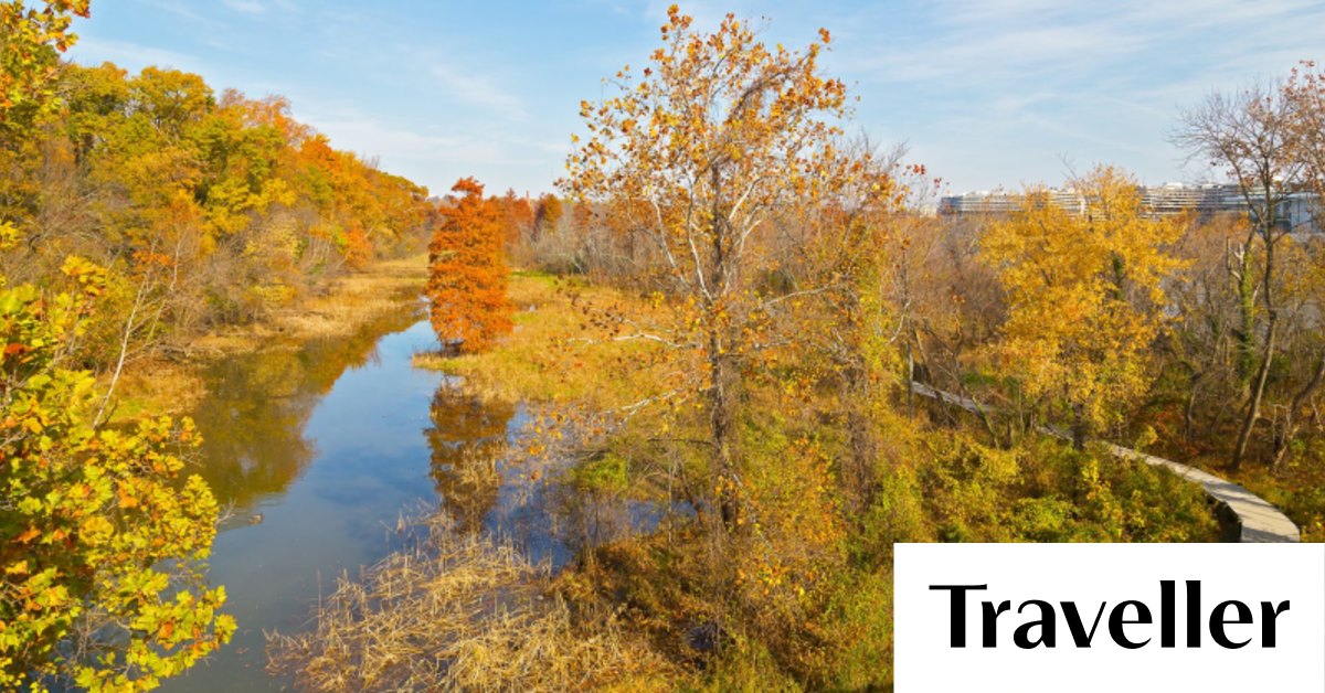 Six of the best outdoor activities in Washington DC