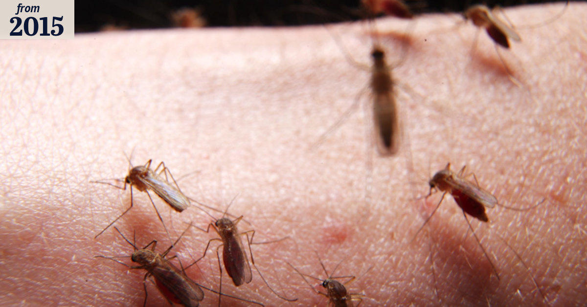What makes us scratch an itch? Science study reveals the cause
