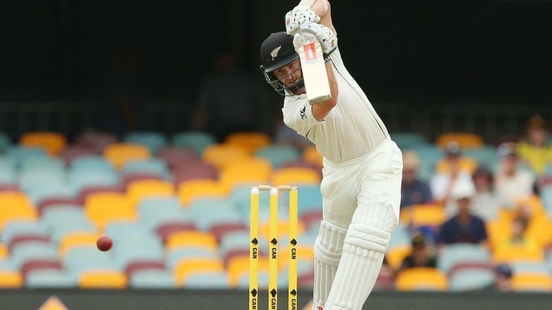 Australia Vs New Zealand Test Series Kane Williamson Could Bat For My Life Says Allan Border