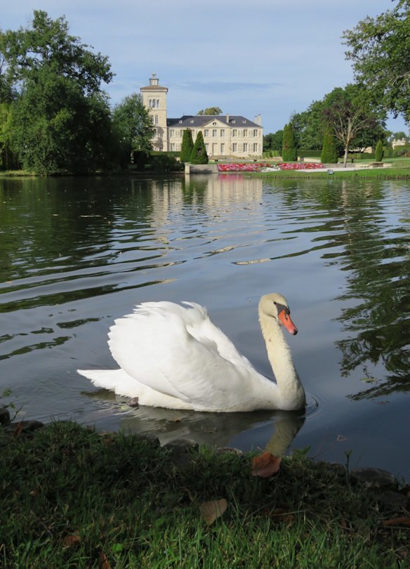 Scenic’s Beautiful Bordeaux itinerary includes visiting Chateau Lagrange. 
