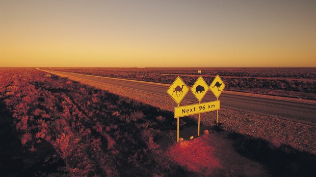 On the Nullarbor Plain, South Australia.