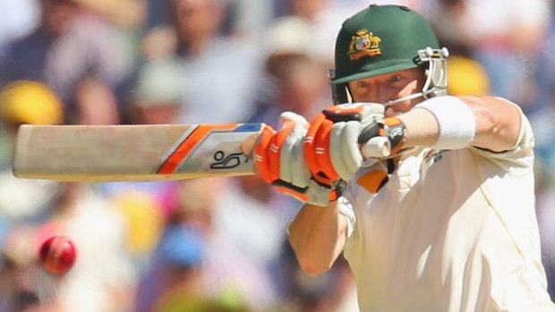 Game-changer: Brad Haddin is happy for the Indian bowlers to bang it down half-way. 
