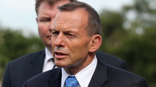 Prime Minister Tony Abbott says the government hasn't made any decision on whether to hold an inquiry into the iron ore sector.