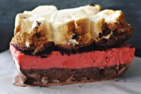 Neapolitan ice-cream cake topped with cookie crumb and toasted marshmallows.