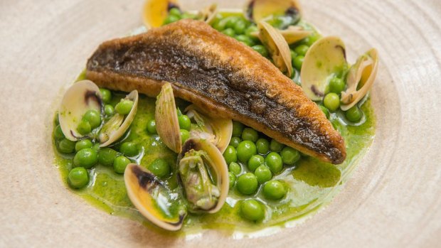 Pan-fried rock flathead with basque green sauce, peas and baby clams at Movida. 