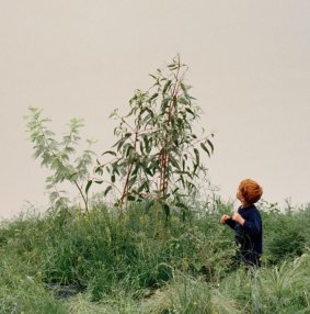 A young visitor checks out a field of Victorian grasslands plants as part of Australia's contribution to the 2018 Venice Architecture biennale.