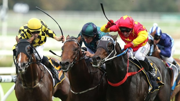 Emotional win: Jim Cassidy (red cap) and Dissident sneak home in the All Aged Stakes at Randwick.
