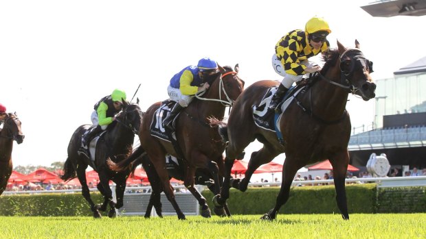 Ready for Hawkesbury: Spill The Beans scored well in the The Eskimo Prince Stakes. 