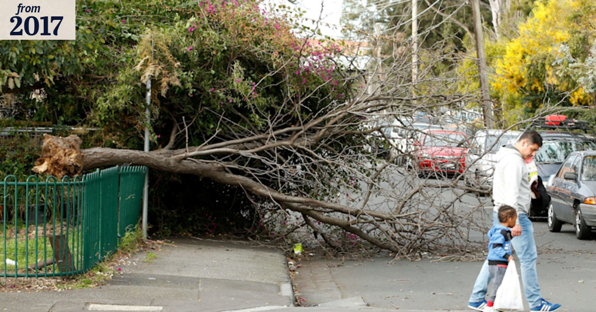 Melbourne weather: Severe weather warning issued as wild winds return ...