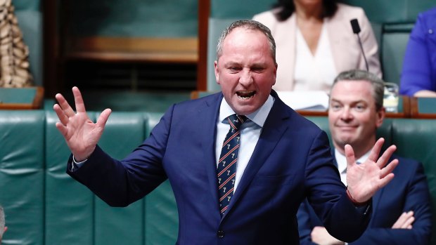 Deputy Prime Minister Barnaby Joyce during question time on Wednesday.