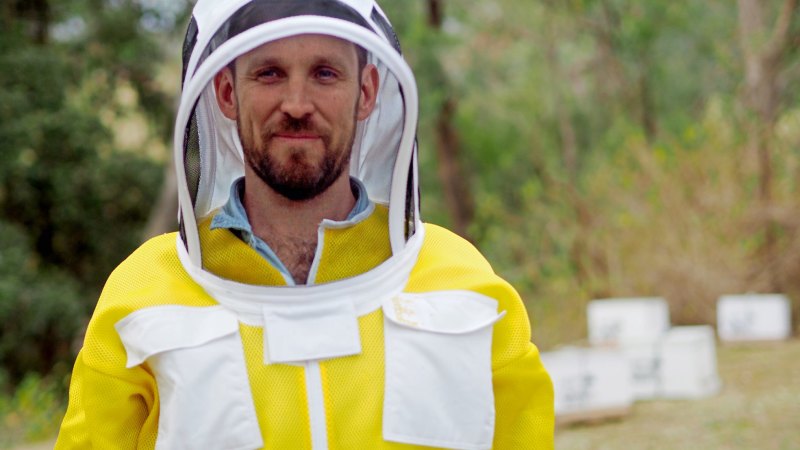 Paul West Enthuses Over The Wonderful World Of Bees