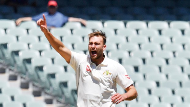 Australian left-arm fast bowler Jackson Coleman appeals for a decision.