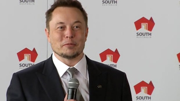 The declaration by Elon Musk that coal doesn't have a long-term future has rankled politicians.