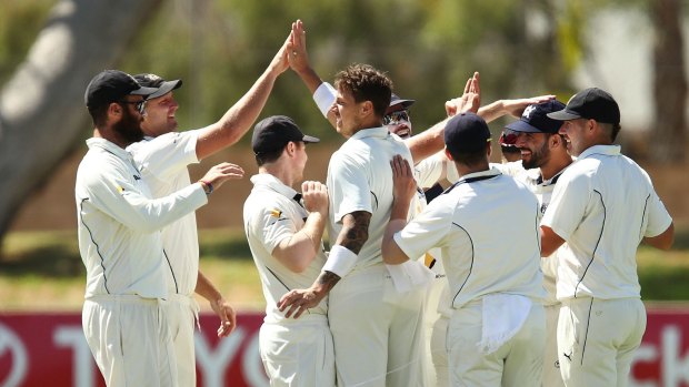 James Pattinson of the Bushrangers celebrates with teammates after claiming the wicket of South Australia's Callum Ferguson on the final day of the Sheffield Shield final