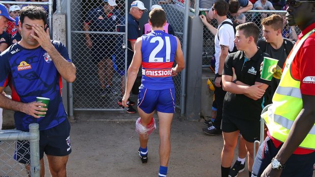 Raising a howl: Tom Liberatore hobbles off with a knee injury.