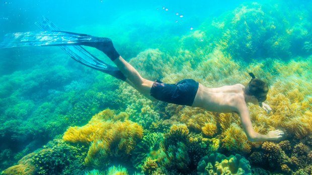 Tenders have been called for a project designed to protect the Great Barrier Reef.