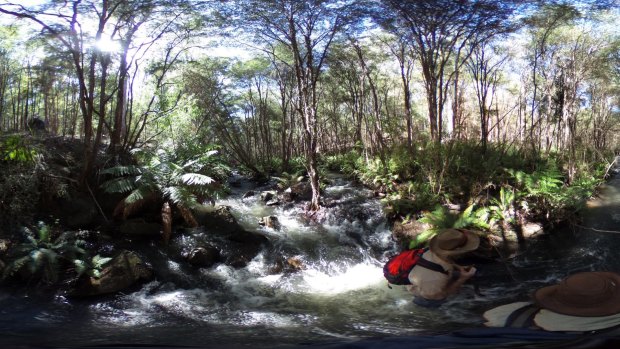 Small rapid in the Yarra Ranges National Park, Reefton.