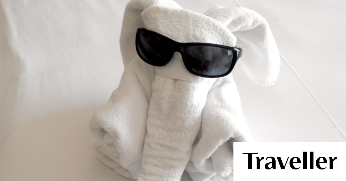 Towel art is how hotel cleaners can connect with you (and remind you to