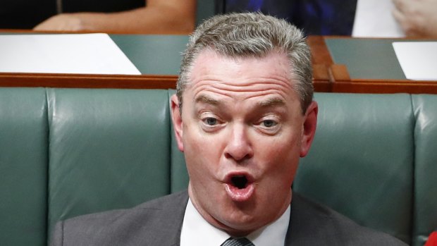 Defence Industry Minister Christopher Pyne during question time on Thursday.