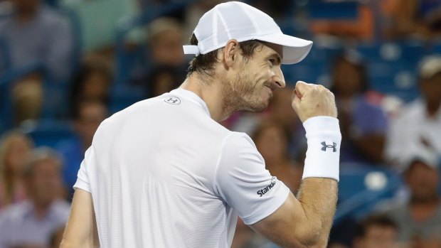 Hot streak: Andy Murray is in fine form, and clinched a 22nd straight win with victory in Cincinatti semi final against Milos Raonic.