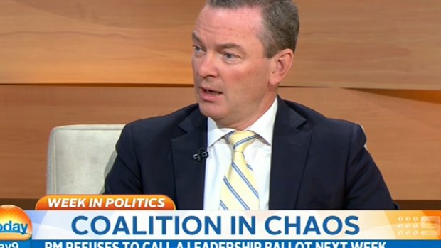 Christopher Pyne on the Nine Network earlier on Friday.