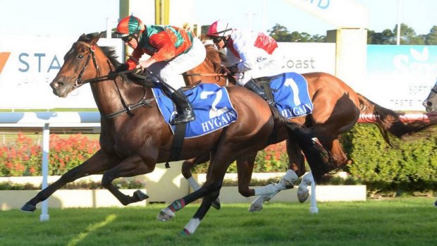 Back in form: In a Wink takes out the Gloucester Cup at Taree.