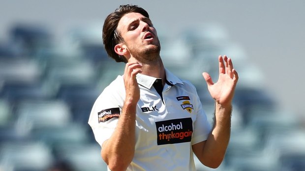 Under pressure: Mitchell Marsh needs more runs, says the chairman of selectors.
