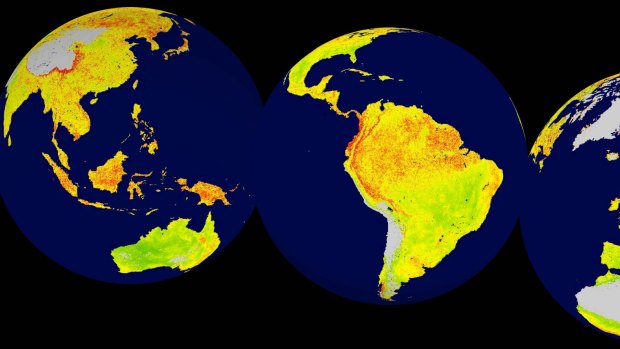 A global snapshot of vegetation sensitivity to climate variability. Areas in green (red) have comparatively lower (higher) vegetation sensitivity. Grey areas are barren land or ice covered. Inland water bodies are mapped in blue.
