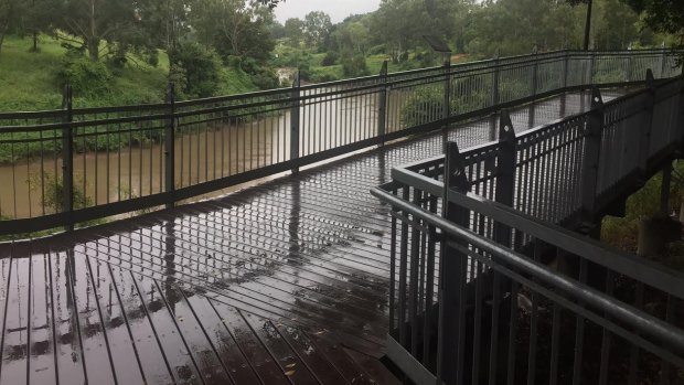 Mr Hassid's land was in the centre-right of this photograph along from a walkway along the Bremer River built by Ipswich City Council.