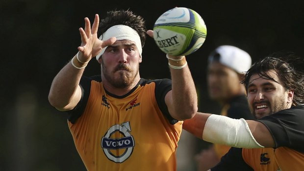 Bound for the World Cup?: Former Waratahs back-rower Kane Douglas.