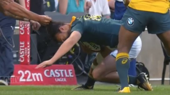 Lockdown: Michael Cheika is adamant Israel Folau didn't grab Dillyn Leyds by the hair.