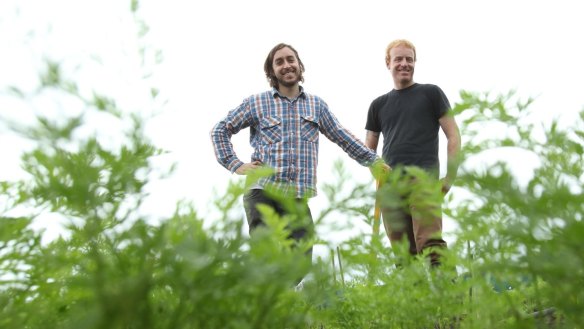 Sixpenny's Daniel Puskas and James Parry in their plot near Mittagong in 2011.