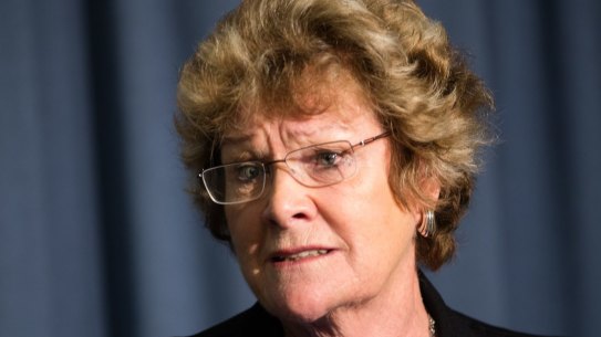 Health Minister Jillian Skinner addressing the media on Tuesday.