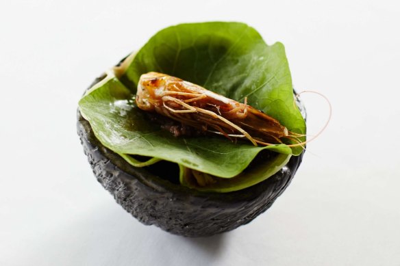 Go-to dish: Prawn and kohlrabi is a stalwart signature that has been upcycled.