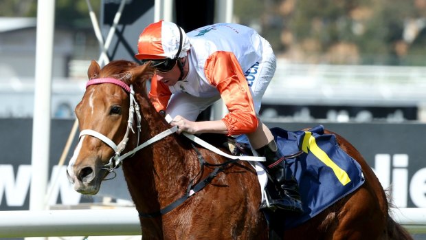 Nash Rawiller and Japonisme cruise to victory at Rosehill on Saturday.