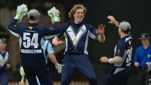 Set for stardom: Will Sutherland celebrates a wicket for Victoria against the Blues at North Sydney Oval.