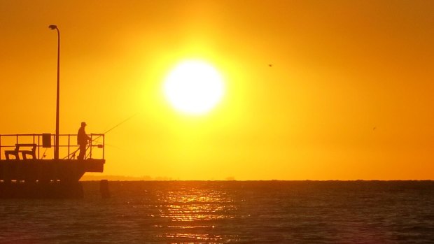 The Bureau of Meteorology is forecasting temperatures into the high 20s next week with a maximum of 30C predicted for Wednesday and Thursday.