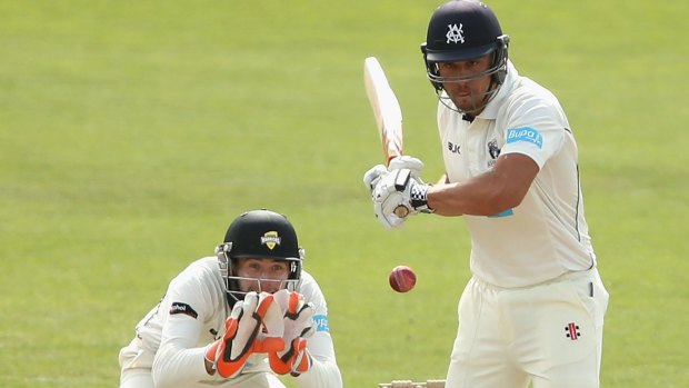 Marcus Stoinis of Victoria holds on strong.
