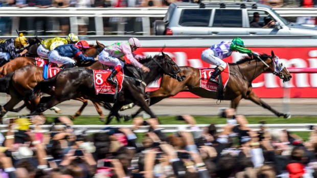 Prince of Penzance a 100-1 long shot, wins the 2015 Melbourne Cup.