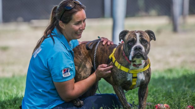 Cooper was the only dog left after the RSPCA's weekend clearance sale. He's pictured with kennel team leader Vanessa Cundi. 
