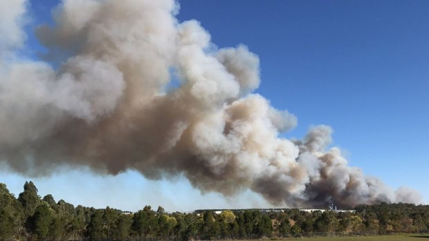 Large plumes of smoke were sent high into the Sunshine Coast sky on Friday afternoon, as the bushfire raged out of control.
