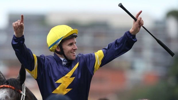 Laying down the law: Tommy Berry will take over the ride on The Barrister.