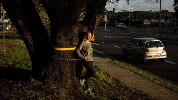 Louise Boronyak-Vasco chains herself to an old tree due to be cut down to make way for the light rail.